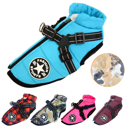 Pawsitive Warmth: Dog Jacket & Harness