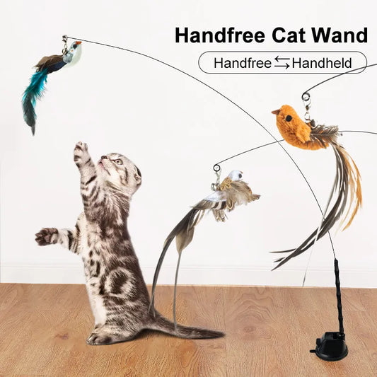 Hands-Free Cat Wand